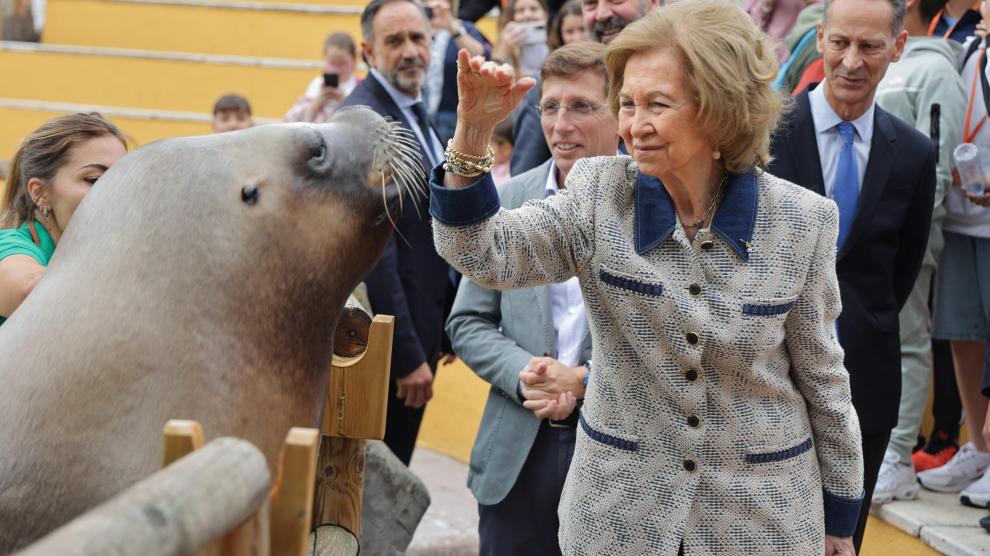 La reina Sofía acaricia a un león marino durante su visita al Zoo Aquarium de la capital