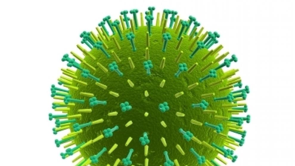 El virus de la gripe A