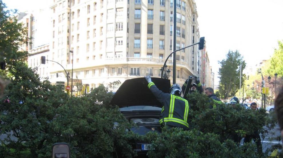 El conductor se ha llevado por delante un semáforo y una señal