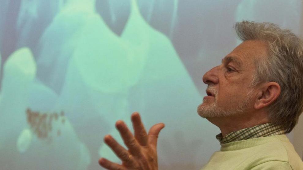 Enamorado de la Antártida, Javier Cacho se dedica ahora a divulgar las investigaciones que allí se desarrollan