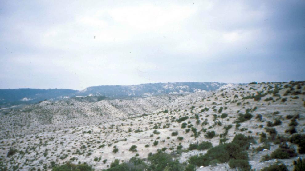 Estepa, al sur de Torrero