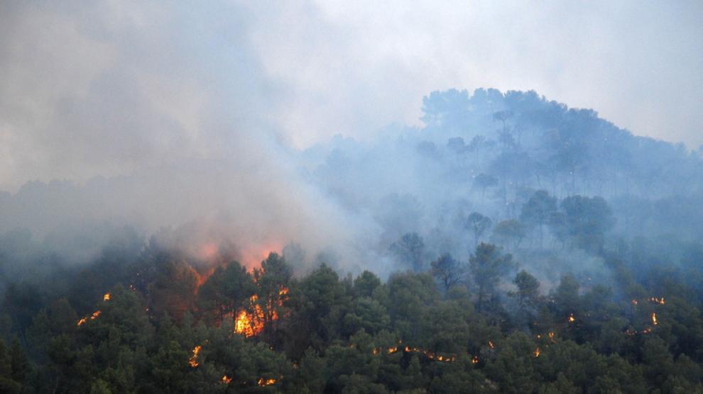 Incendio declarado el jueves en una zona de pinar de Valderrobres