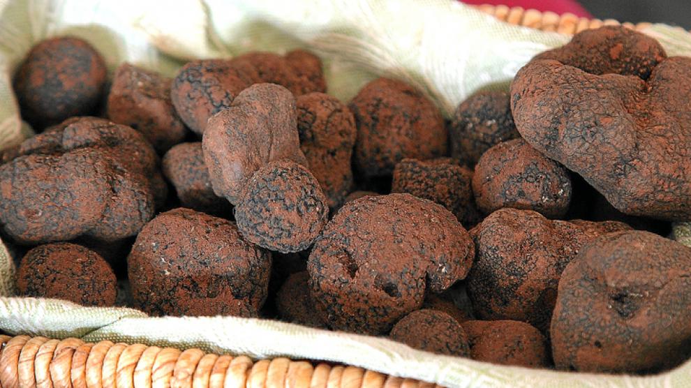 Trufa negra: la joya gastronómica del invierno