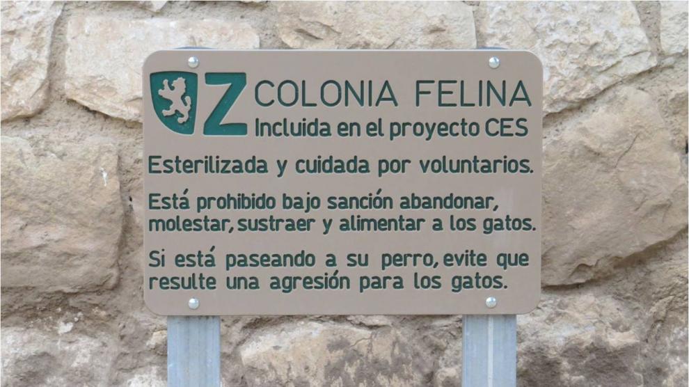 Cartel Proyecto CES