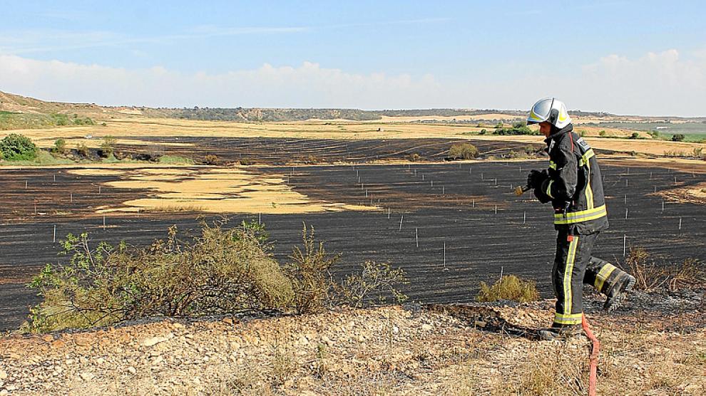 Un bombero refresca los campos ya quemados.