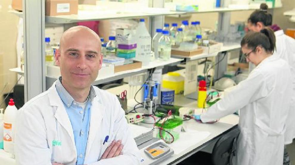 José Miguel Arbonés Mainar, en la Unidad de Investigación Traslacional del Hospital Miguel Servet.