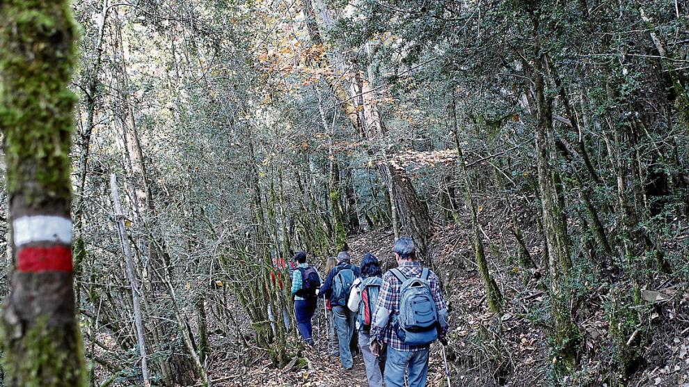 Senderistas por una de las rutas del GR-15 entre Fanlo y Buesa que se recorrieron ayer.