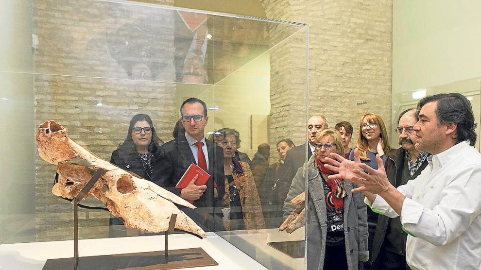 El director del museo, José Ignacio Canudo, explica detalles del uro de Ariño. Aránzazu Navarro