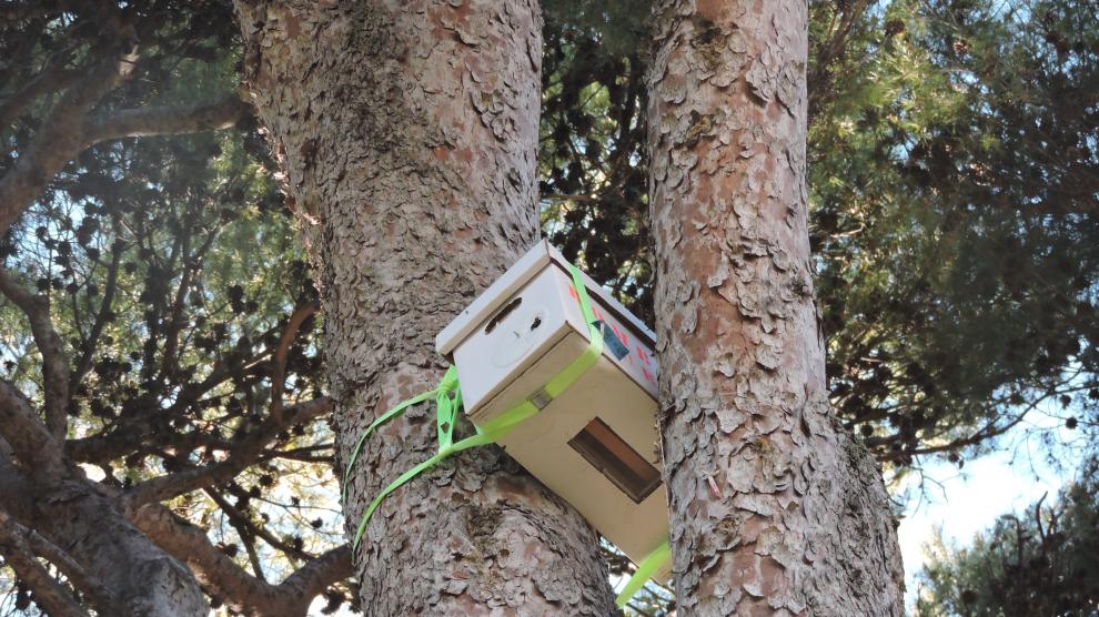 La caja colocada por los bomberos en el parque Miguel Servet.