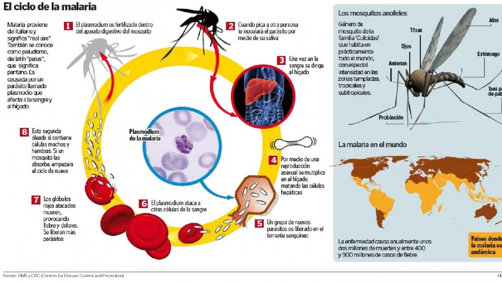 prevención de la malaria