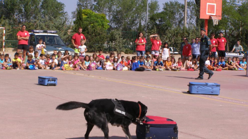 A los niños les ha entusiasmado la actuación de los perros del servicio cinológico.