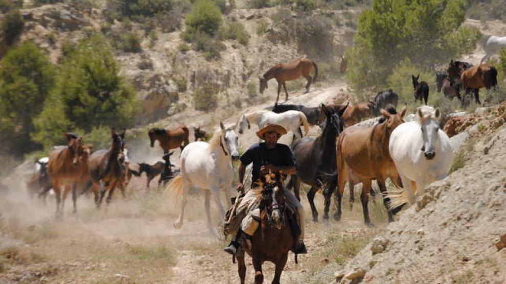 Trashumantes de Teruel hacia Valencia.