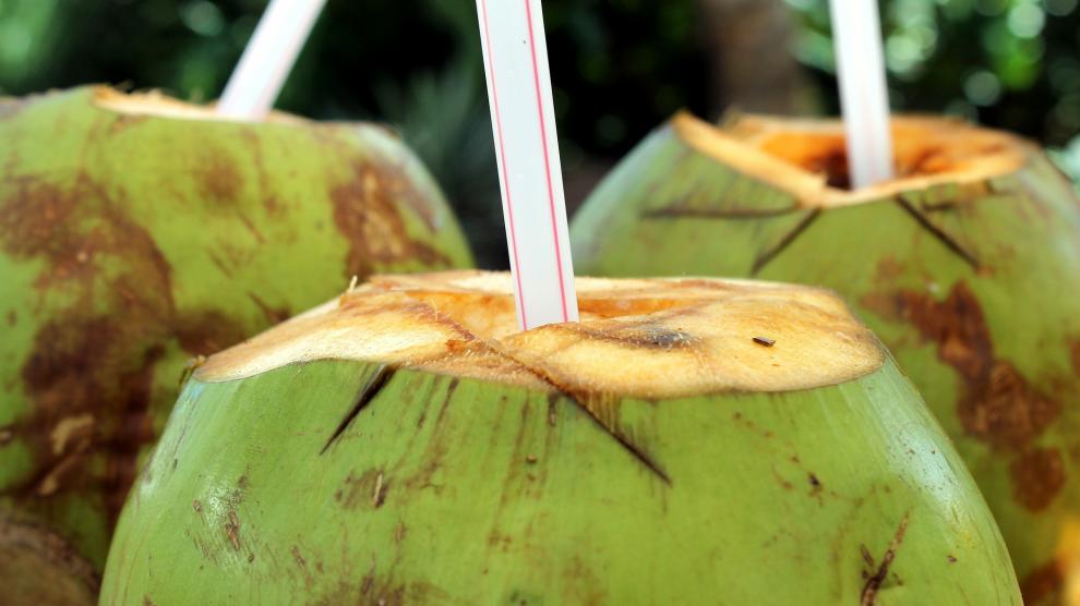 Agua de coco y otras cuatro bebidas para acelerar el metabolismo | Noticias  de en 