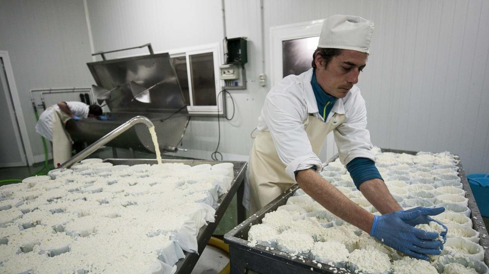 Jorge y Antonio Andrés colocan el queso en moldes; todo el proceso es estructamente artesanal.