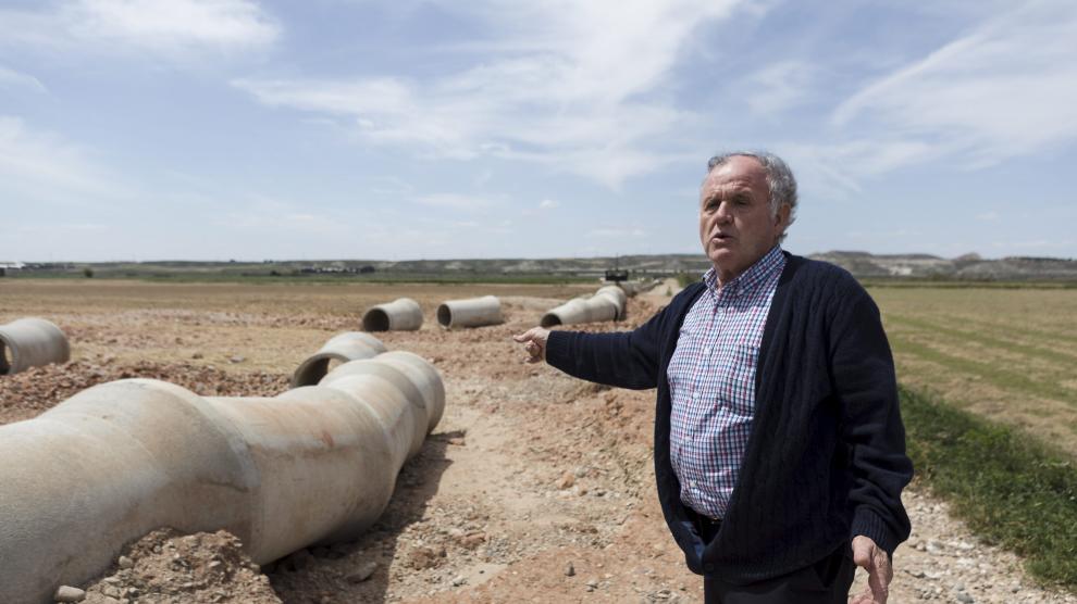 Rafael Abenia, concejal de Agricultura de Quinto, muestra el estado de la huerta