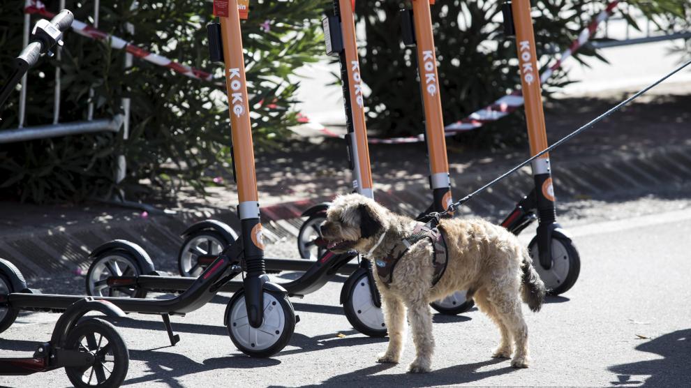 Los patinetes eléctricos fueron los grandes protagonistas del Día Mundial Sin Coches en Zaragoza