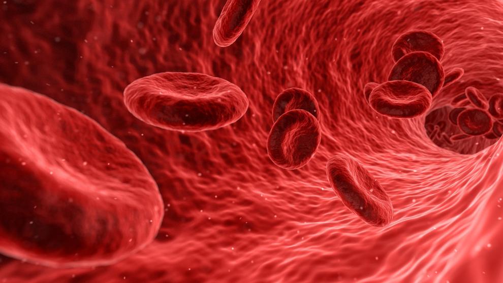 El colesterol puede provocar que la sangre no circule correctamente por las arterias.