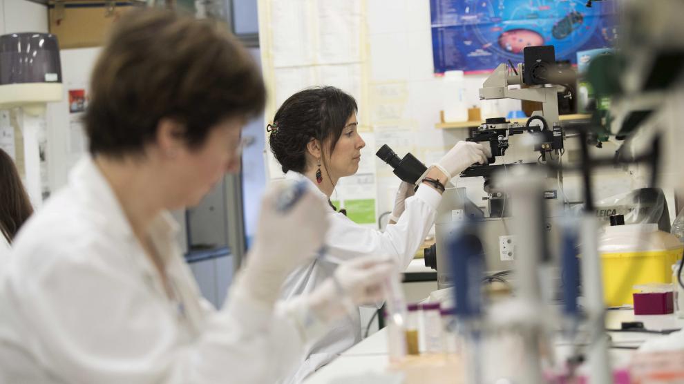 Uno de los laboratorios de investigación de la Universidad de Zaragoza
