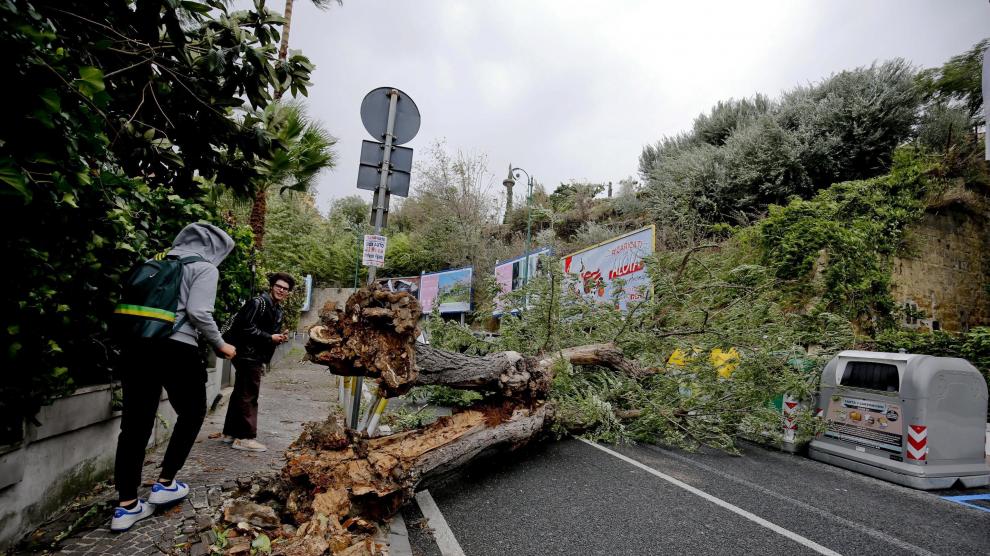 Árbol caído debido a los fuertes vientos en una calle de Nápoles.