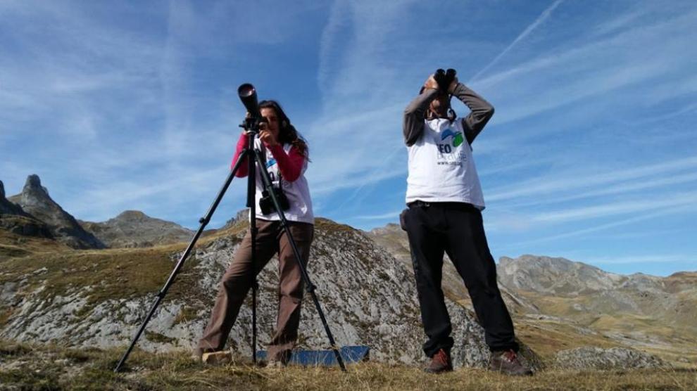 Dos técnicos del proyecto en uno de los puntos de observación de aves del Pirineo