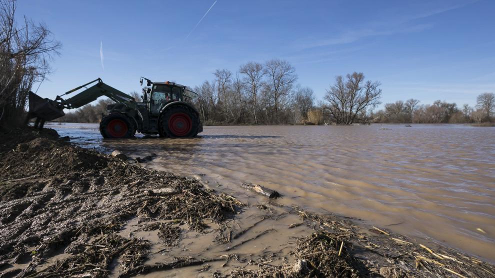 Una imagen de la crecida del Ebro este sábado en la Ribera Alta.