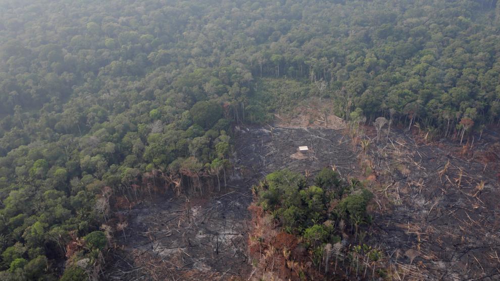 Efectos de los incendios en el Amazonas.