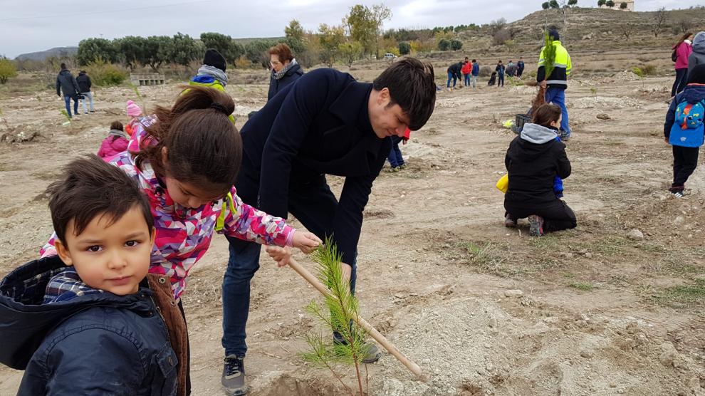 En Magallón se han plantado este jueves 300 pinos en la arboleda de San Sebastián de La Loteta en una jornada festiva y educativa
