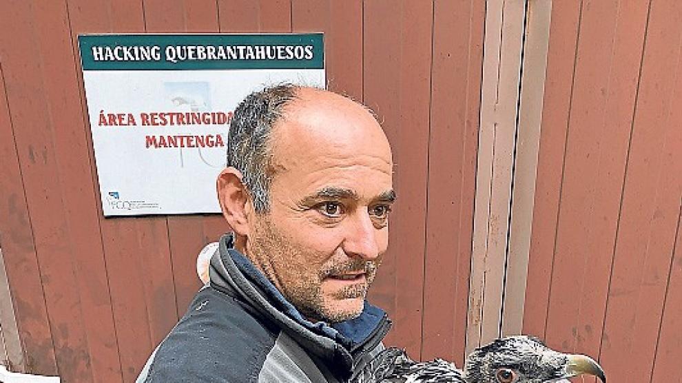 La FCQ vela por proteger las 88 unidades reproductoras de quebrantahuesos de Aragón