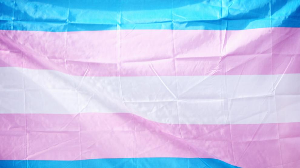 Bandera trans.