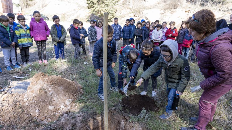 Alumnos de Primaria del colegio ensanche de teruel plantan un Olmo sin graciosis en la cuesta cofiero. Foto Antonio Garcia/bykofoto. 26/02/20 [[[FOTOGRAFOS]]]