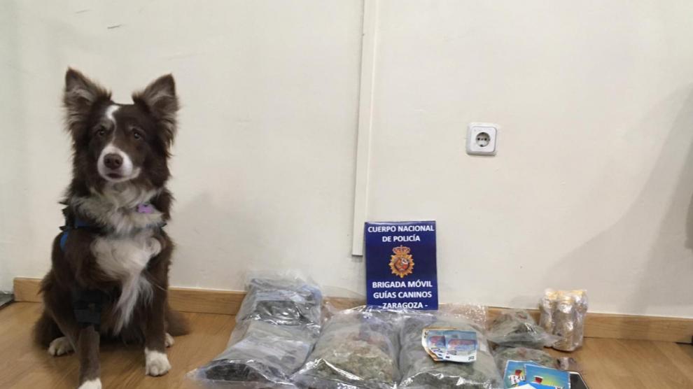 La patrulla canina antidrogas se incauta de varios kilos de marihuana