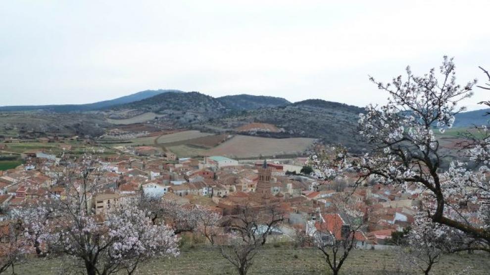 Almendros en Herrera de los Navarros