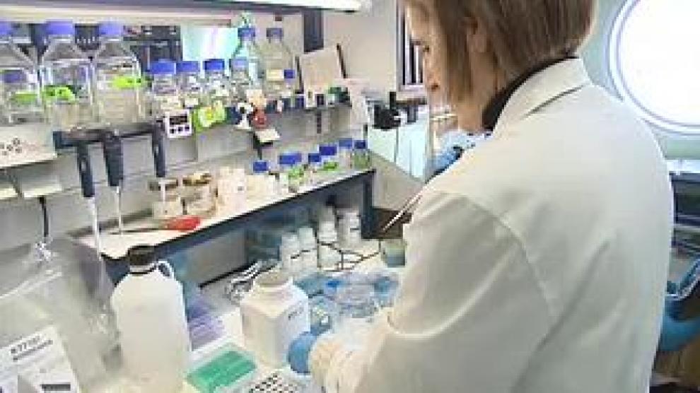 Los científicos trabajan a contrarreloj. En caso de que todo vaya bien, un laboratorio necesita tiempo para conseguir una vacuna contra el Covid 19. Según Isabel Sola, codirectora del Laboratorio de coronavirus del CSIC, esto "puede ser de 3 a 4 meses". Pero el proceso final se hace más largo porque puede tardar hasta año y medio.