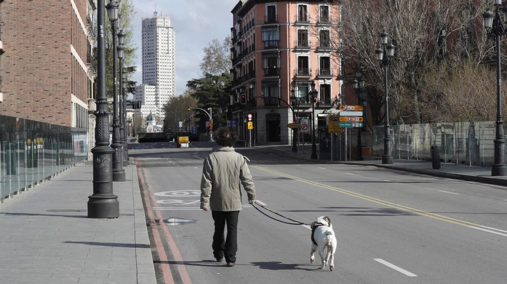 Un hombre pasea a su perro este domingo por una céntrica calle de Madrid.