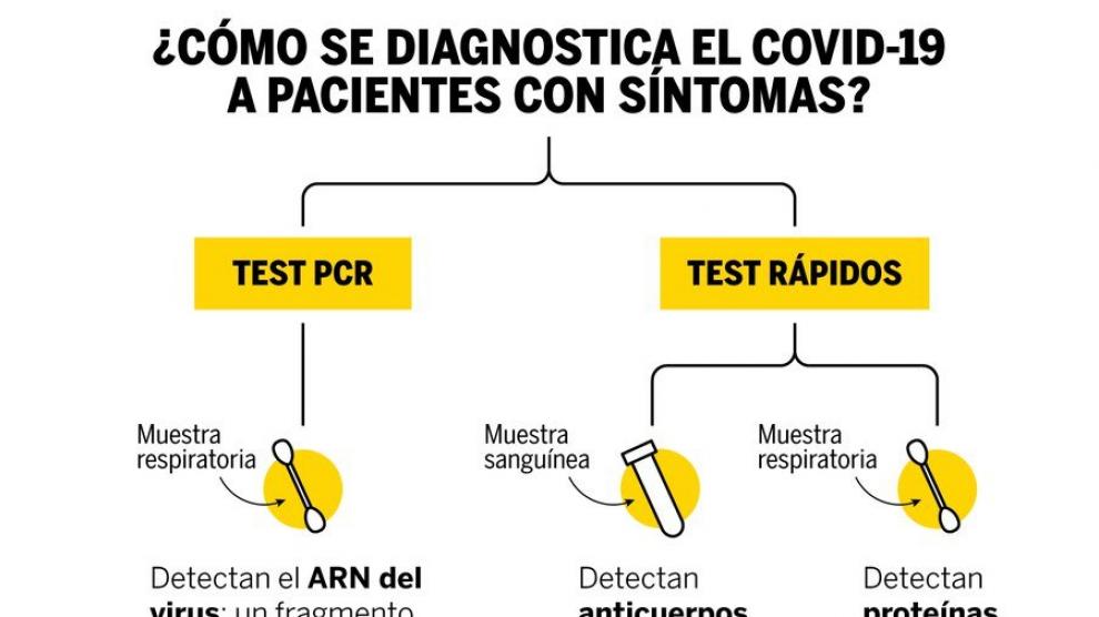 Diferencia entre el PCR y el test rápido para detectar el coronavirus