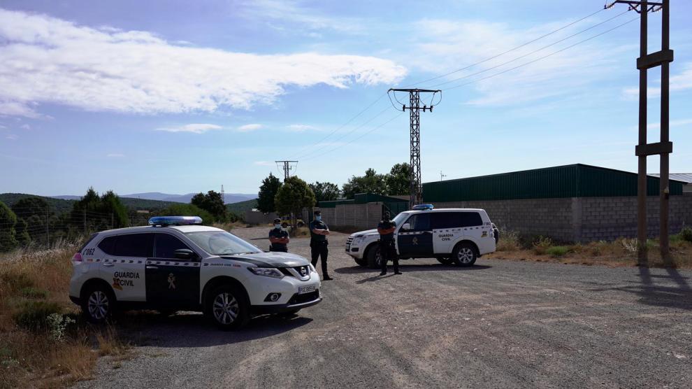 Arranca el sacrificio de los 93.000 visones de la granja de la Puebla de Valverde por un contagio masivo de la covid-19
