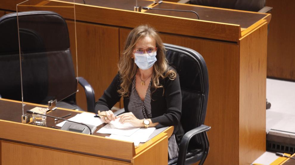 Estela Ferrer, ayer en la Comisión de Educación.