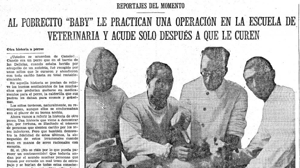 HERALDO se hizo eco el 26 de noviembre de 1933 de una historia del perro Baby, famoso en la calle Las Armas