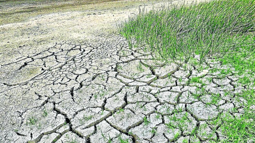 Los periodos de fuerte sequía, muy visibles en los suelos agrícolas, son cada vez más habituales.
