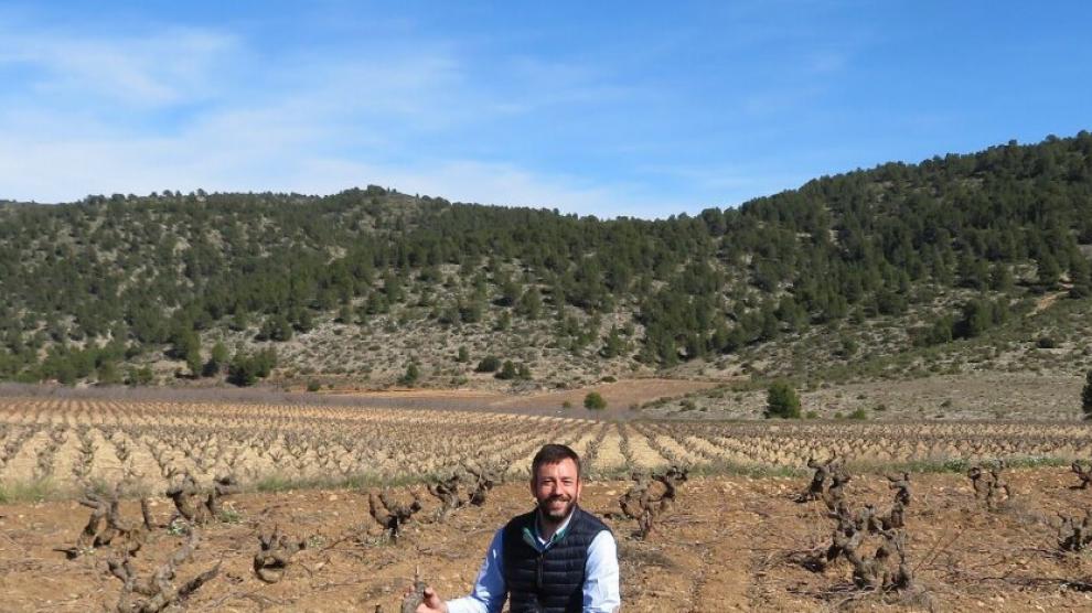 Carlos Vázquez, fundador de Bodegas.bio, en los viñedos de una de las bodegas del proyecto.