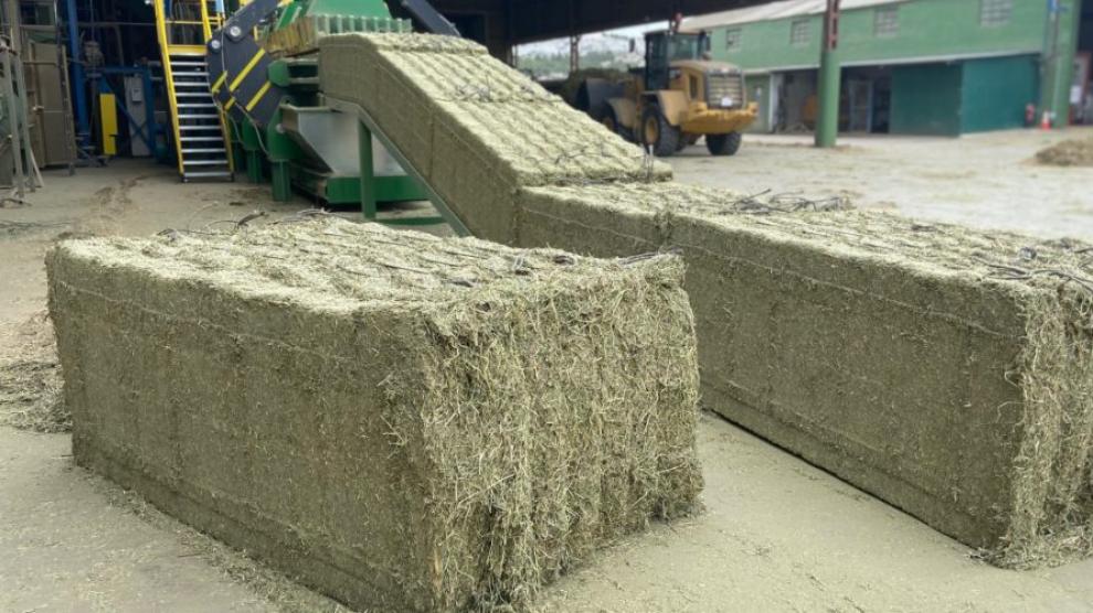 Instalaciones de una industria deshidratadora en la que se producen pacas de alfalfa que viajan a mercados de todos los países.
