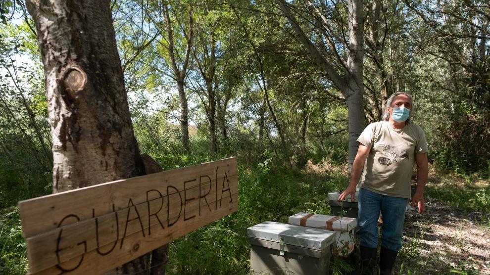 Centro de acogida de enjambres de Arna, en un espacio cedido por la DGA en La Alfranca.