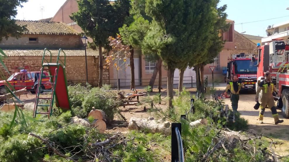 Trabajos de limpieza y reparación que la Diputación de Zaragoza realiza tras el paso de la DANA