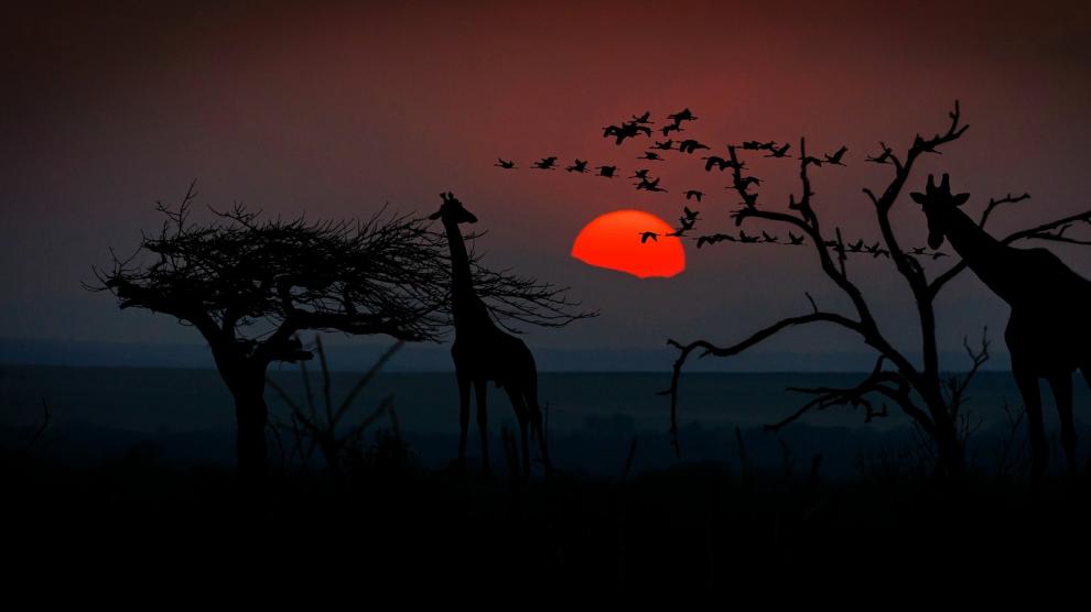 El concurso Ilumináfrica cuenta con tres categorías de relatos.
