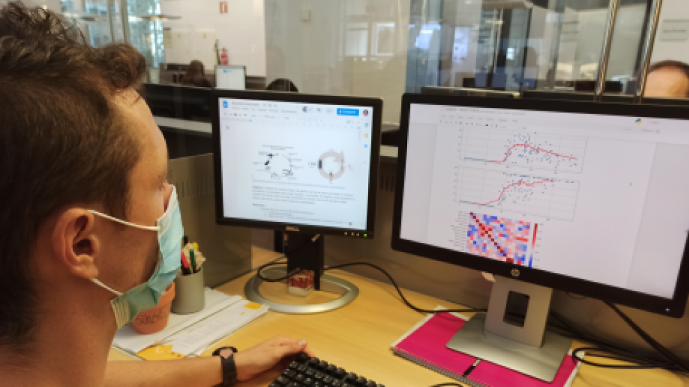 Un integrante del equipo de Big Data de Itainnova analiza datos de la granja de insecto.