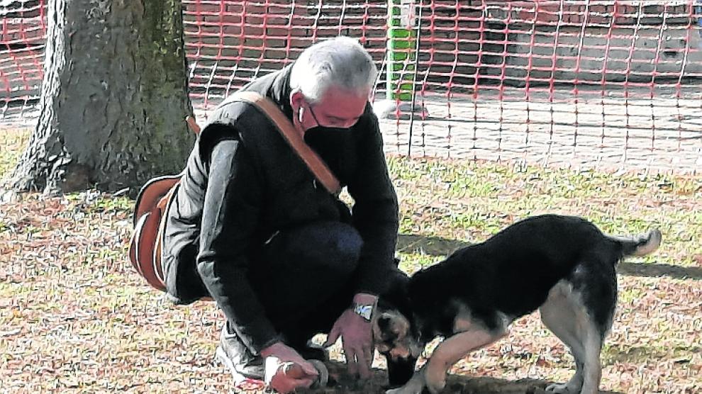 La II Feria de la Trufa de Graus contó con una demostración canina de búsqueda de trufa.