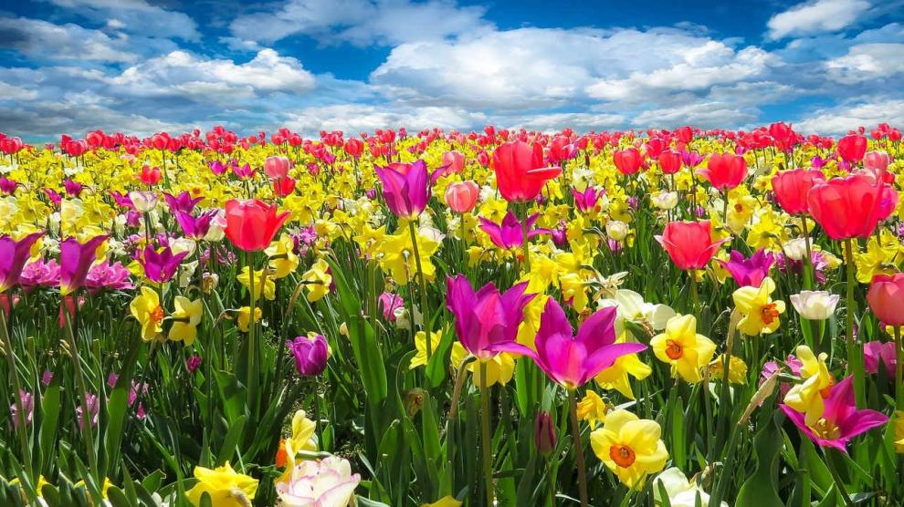 La primavera está a la vuelta de la esquina