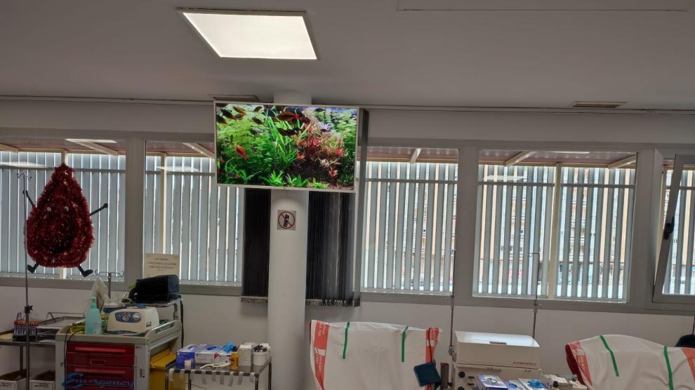 Sala de donación del Banco de Sangre.