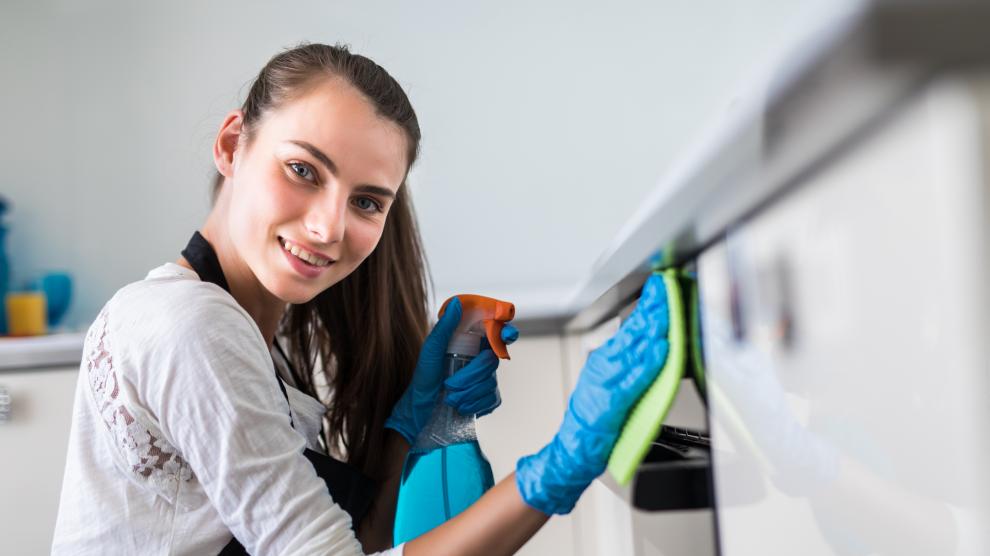 Cómo limpiar el lavavajillas y mantenerlo en perfecto estado de  funcionamiento