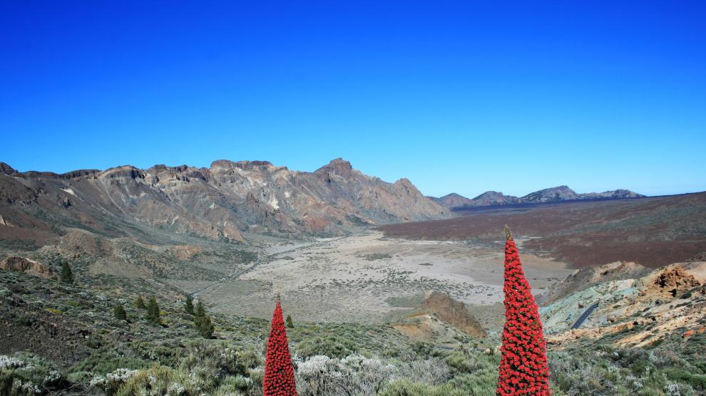 Parque nacional del Teide.